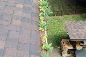 e38edea0 2742 4044 89de a8fc20440735